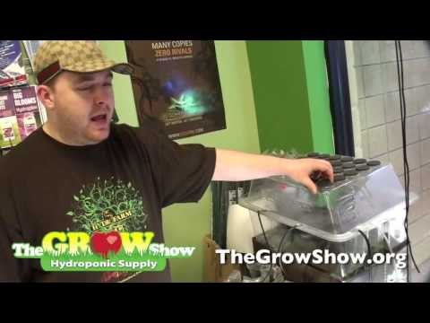 how to clone with dip n grow