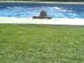 maca y yo en la picina