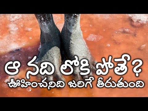 why is lake natron tanzania red why is lake natron tanzania red
