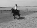 my horse with the song qele qele
we rijden gompie nu in en het gaat al hardstikke goed maar vorig jaar was hij hoefbevangen vandaar dat een paar andere filmpjes van hem dat hij daar zo raar loopt