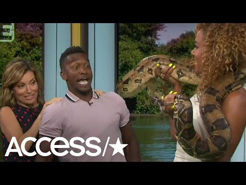 'Monster Croc Wrangler' Matt Wright Scares Everyone With Boa Constrictor
