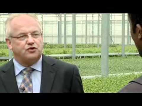 Horti Flex Haarlem