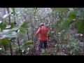 i never knew it could rain so hard, but i guess that's why they call it a rain forest, panacocha, ecuador