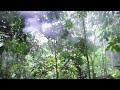 i never knew it could rain so hard, but i guess that's why they call it a rain forest, panacocha, ecuador