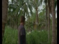 Lost Season One Opening