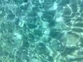Relax