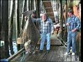 How to Catch Flounder - Saltwater Fishing with Dr. Jim