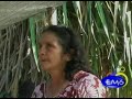 ALIMENTOS ORGÁNICOS