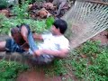 Damu Swings