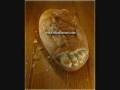 AmazingCarvings