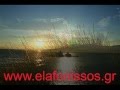 isola di elafonissos (Cervi)
