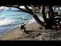 Do-it-yourself ROPE / TRX Suspension Training Equipment