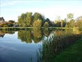 The pond at Woodburn Hill - Al Petteway