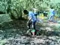 freestyle fındık bahçesi futbol