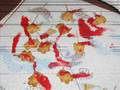 videos de Teddy Graham Massacre