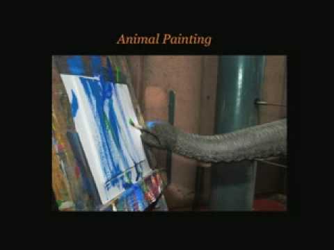 Creativity and Art in Animals