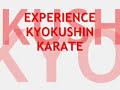 kyokushin full contact karate do phil tournament highlights