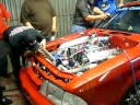 Marshal Racing / Colon Cash & Carry Turbo Mustang