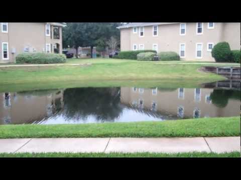 Cape House Apartments - 2 Bedroom - Ponte Vedra Floorplan
