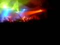 Wilde Rock Nacht