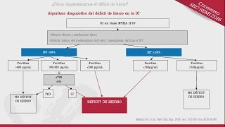 Alberto Esteban Fernández-2