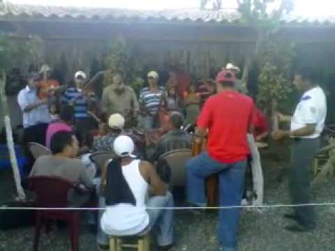 música de cuerda - Grupo Musical Santa Ana de la Aldea Surcos de Caña en presentación el 9 de diciembre de 2012, durante la feria de artesanías.