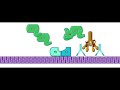 Classical Pathway Complement System
