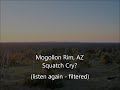 Click here to watch this video Mogollon Rim Squatch Call?