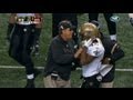 Gregg Williams, Saints Coach, Audio: 'Kill the Head'