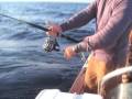 \"Big day dentex\" by bastia-offshore-fishing.com