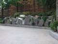 videos de Stray Cats At My Home Part 1