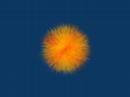Blender Bomb Test Blender Bomb Test