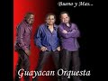 DJ Mario - Orquesta Guayacan Mix 2010