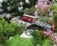 Gartenbahn Zahnradbahn
