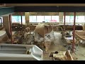 boat building boat building