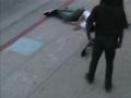 Chow headbanger