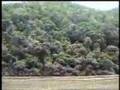 Voices from the Salween Rive Part I