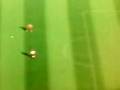 videos de top 5 fifa 09 goals