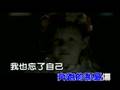 旋木 xuan mu ------WangFei