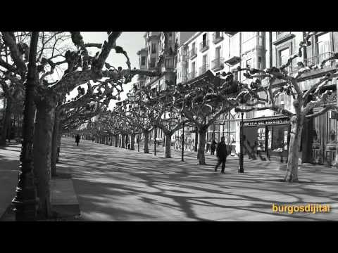 Imagen de previsualización de YouTube