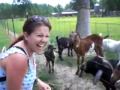 Talking Goat for Kids