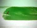 Assistir ao v�deo