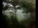 Travelling in fog to thirupathi temple