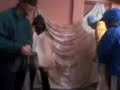ruperta show