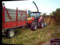 videos de Silage  without   corn ears ...!!!