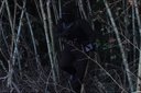 First G.I. Joe Movie Teaser! See Snake Eyes in Action!