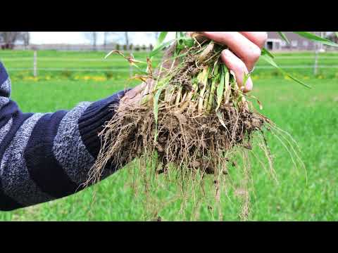 Soil Health Reclamation
