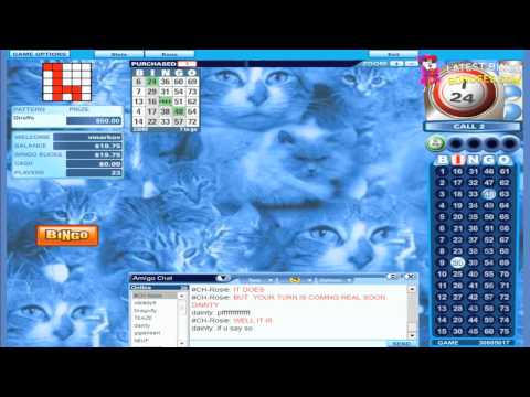 Stars and Stripes Bingo Closed - 05/12 Video Review