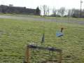 videos de Christmas_tree (11-2008).wmv