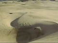 RC Movie